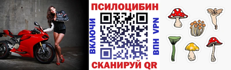 Галлюциногенные грибы GOLDEN TEACHER  купить наркотики цена  Спасск-Дальний 