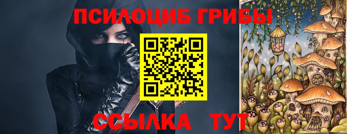 Псилоцибиновые грибы Psilocybe  где можно купить   Спасск-Дальний 